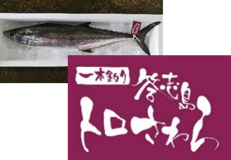 鳥羽磯部