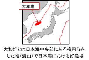 大和堆とは日本海中央部にある楕円形をした堆(海山)で日本海における好漁場