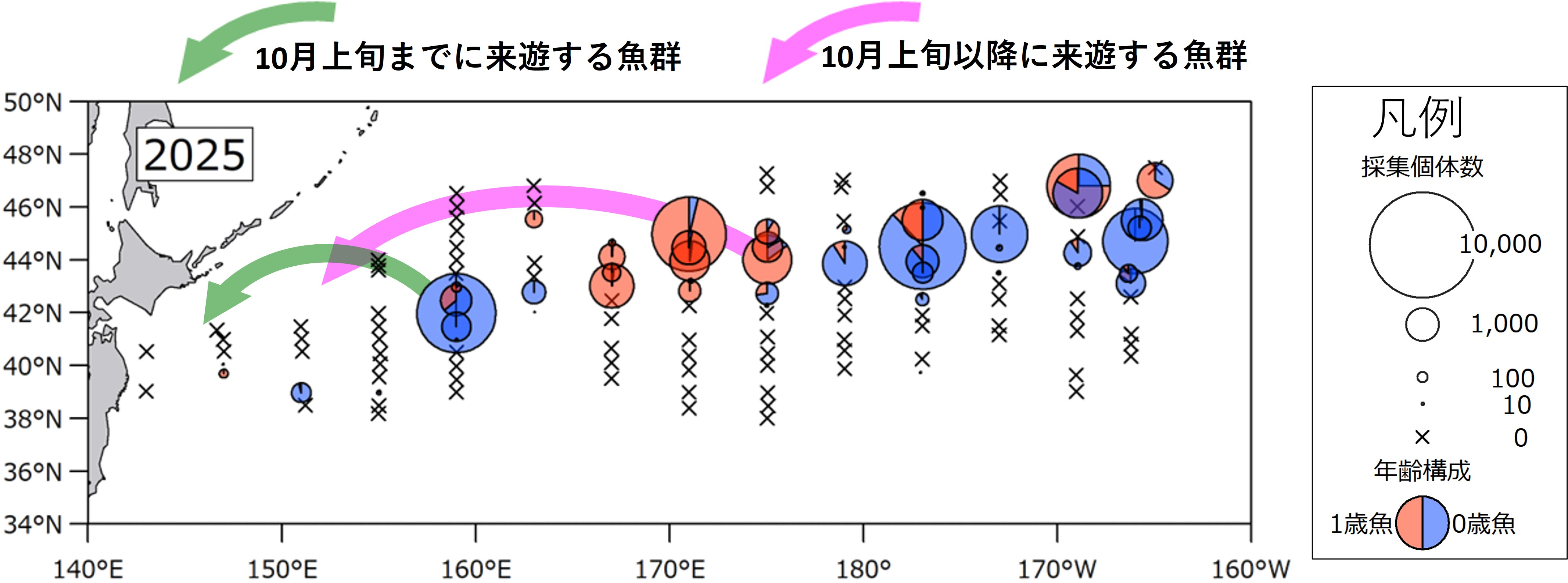 2025_サンマ円チャート分布図
