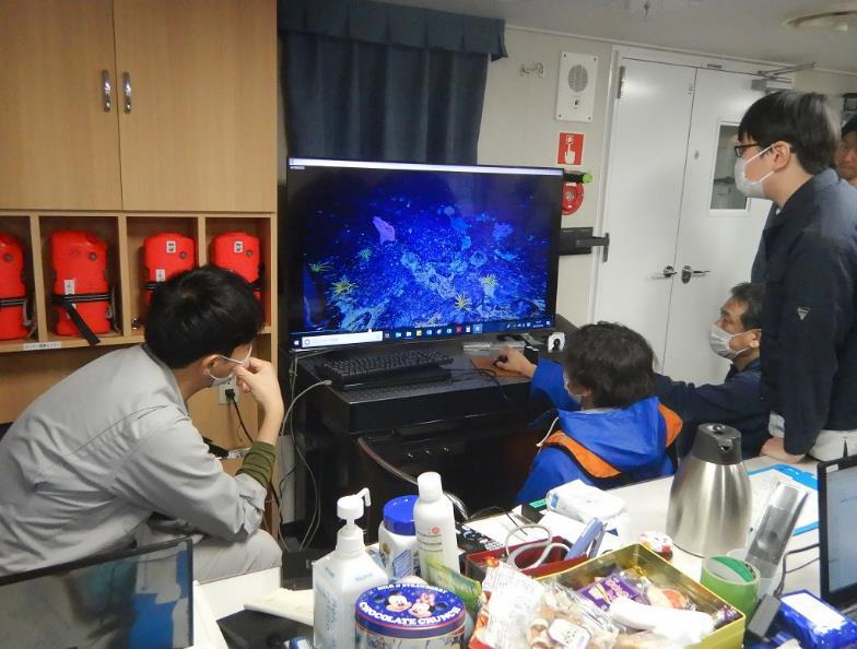 撮影された海底映像の確認