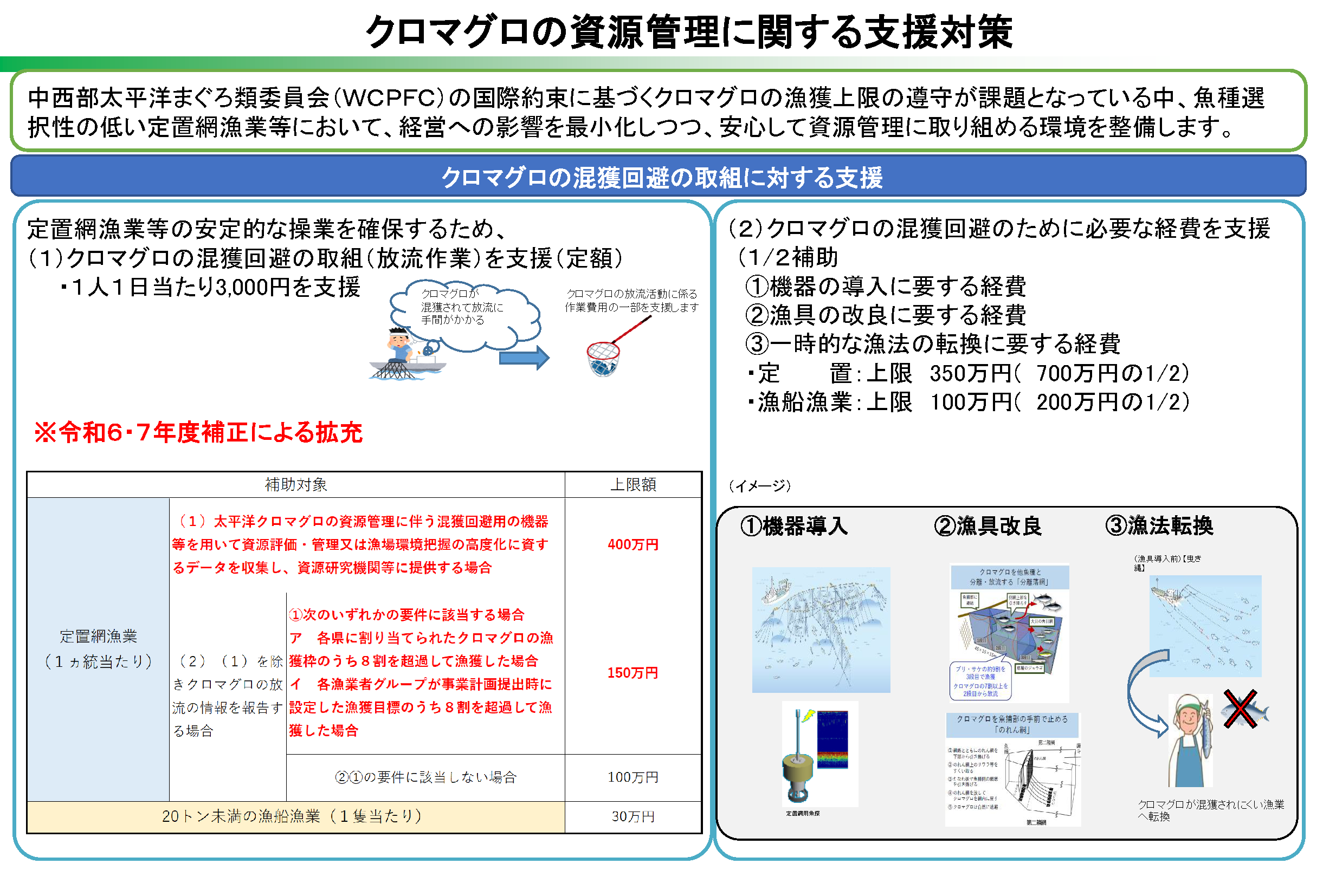 クロマグロの混獲回避の取組