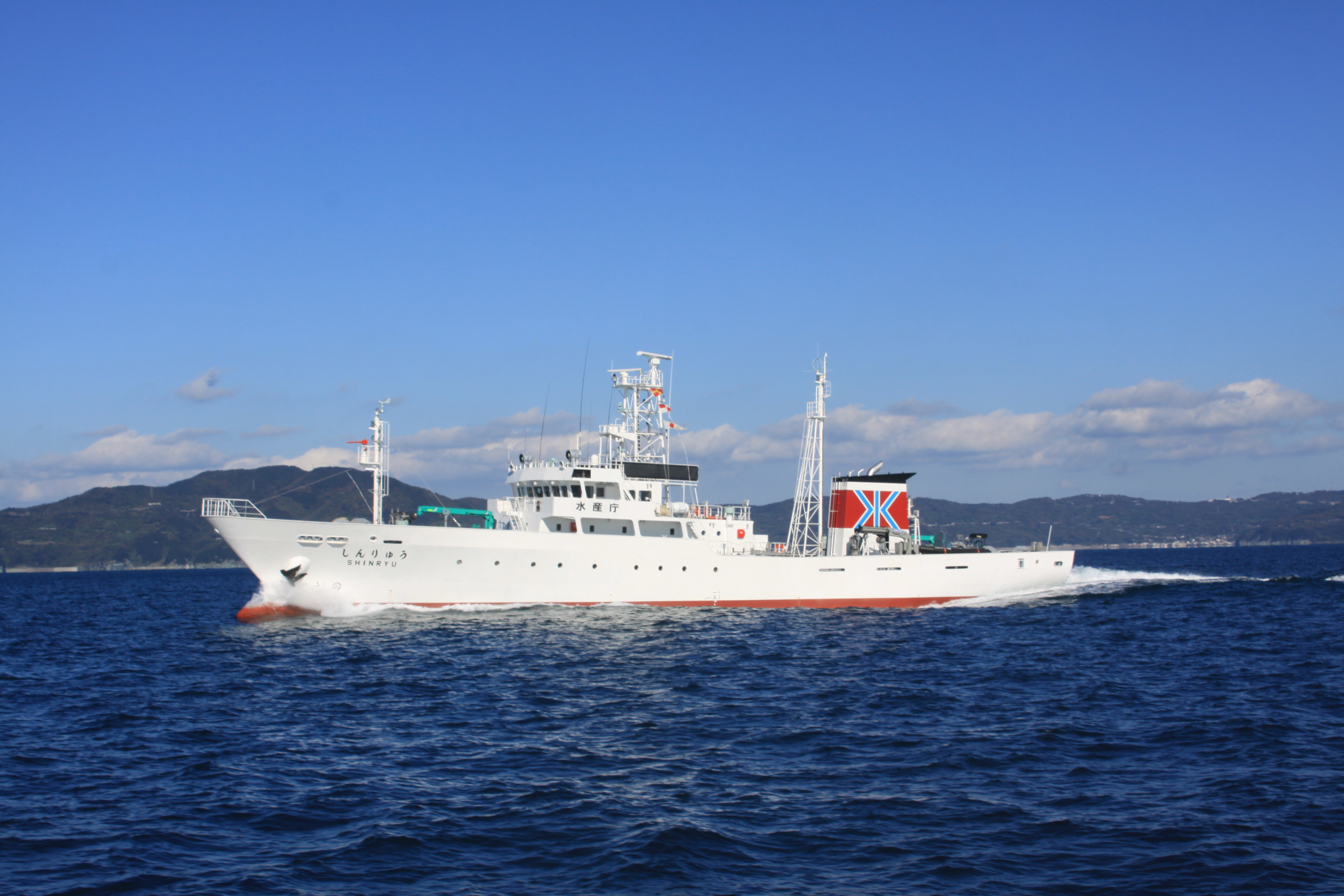 しんりゅう画像