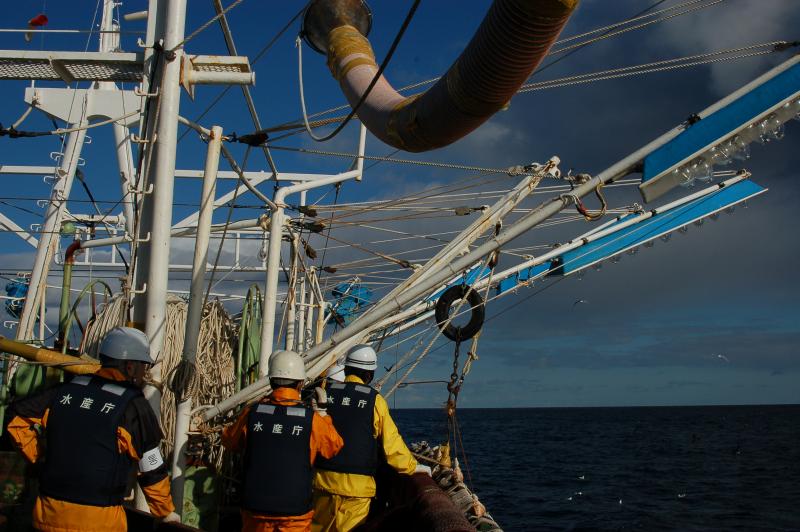 集魚灯検査写真