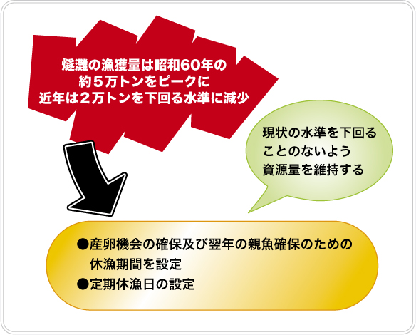 カタクチイワシ瀬戸内海系群資源回復計画概要図